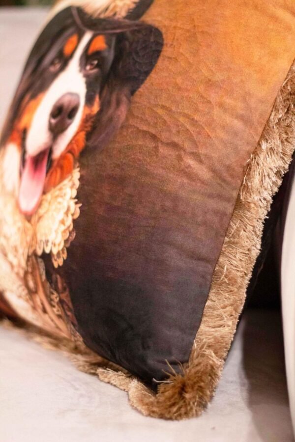 COUSSIN EY251 – Image 2